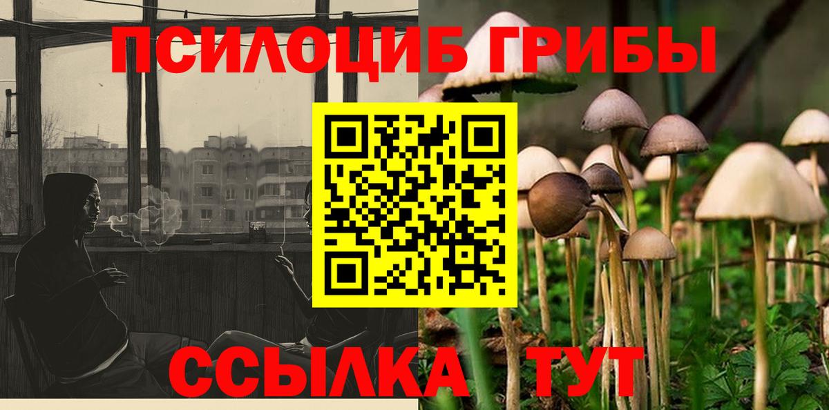 Псилоцибиновые грибы Cubensis Аргун