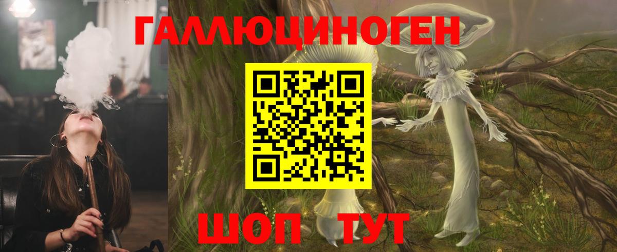 Галлюциногенные грибы Psilocybe  Вход с VPN  Аргун 